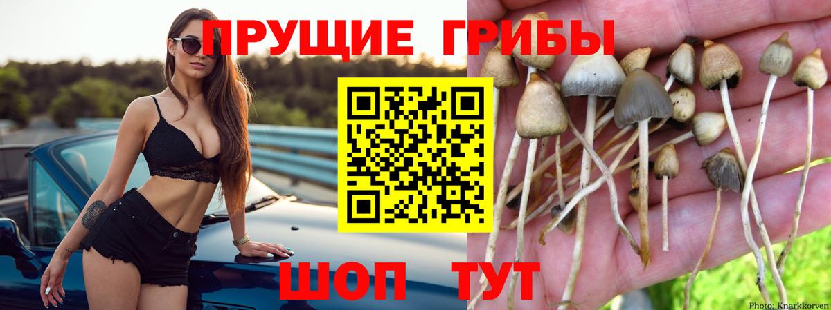 Галлюциногенные грибы мицелий  Вход с VPN  Дмитров 